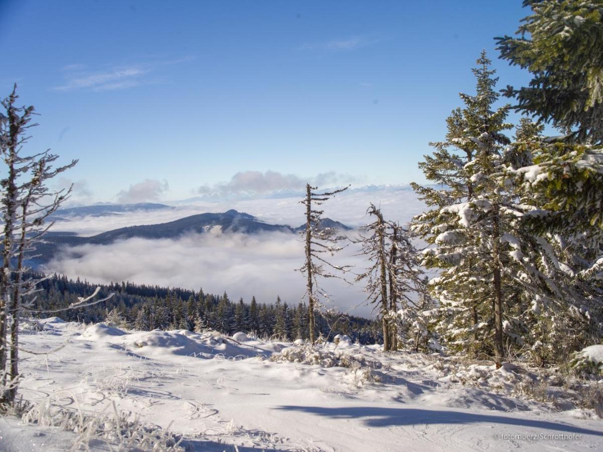 Wiesenquartier I Chalet I Adults Only Langenwang ภายนอก รูปภาพ
