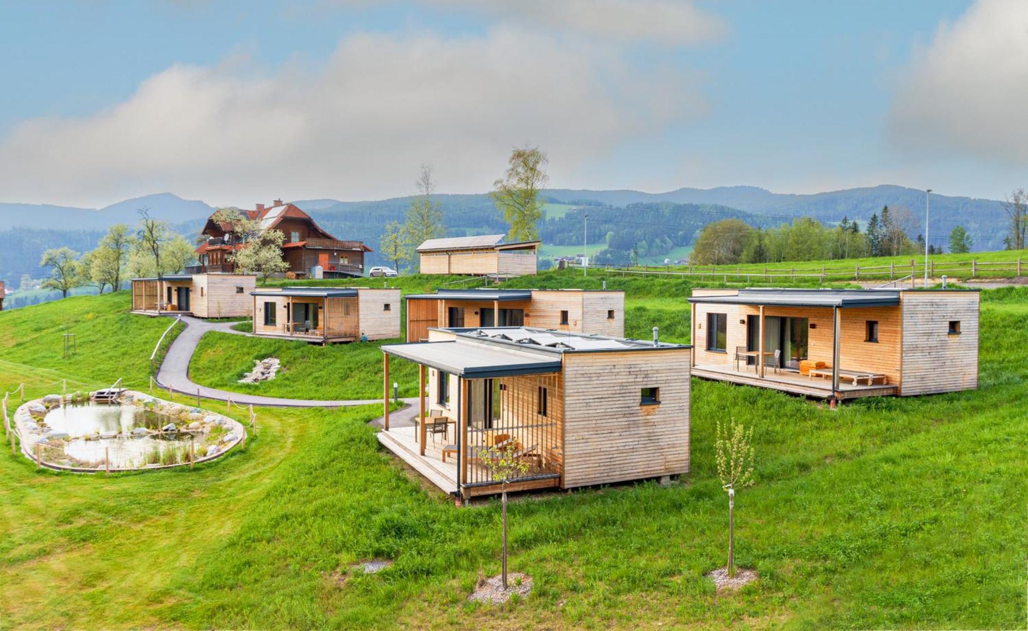 Wiesenquartier I Chalet I Adults Only Langenwang ภายนอก รูปภาพ
